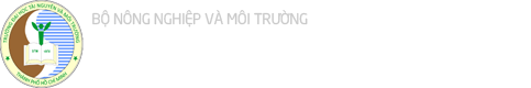 DTM